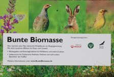 Projekt "Bunte Biomasse" - Wildblumen auf dem Feld von Landwirt Richard Schulte © Foto Kreis Paderborn